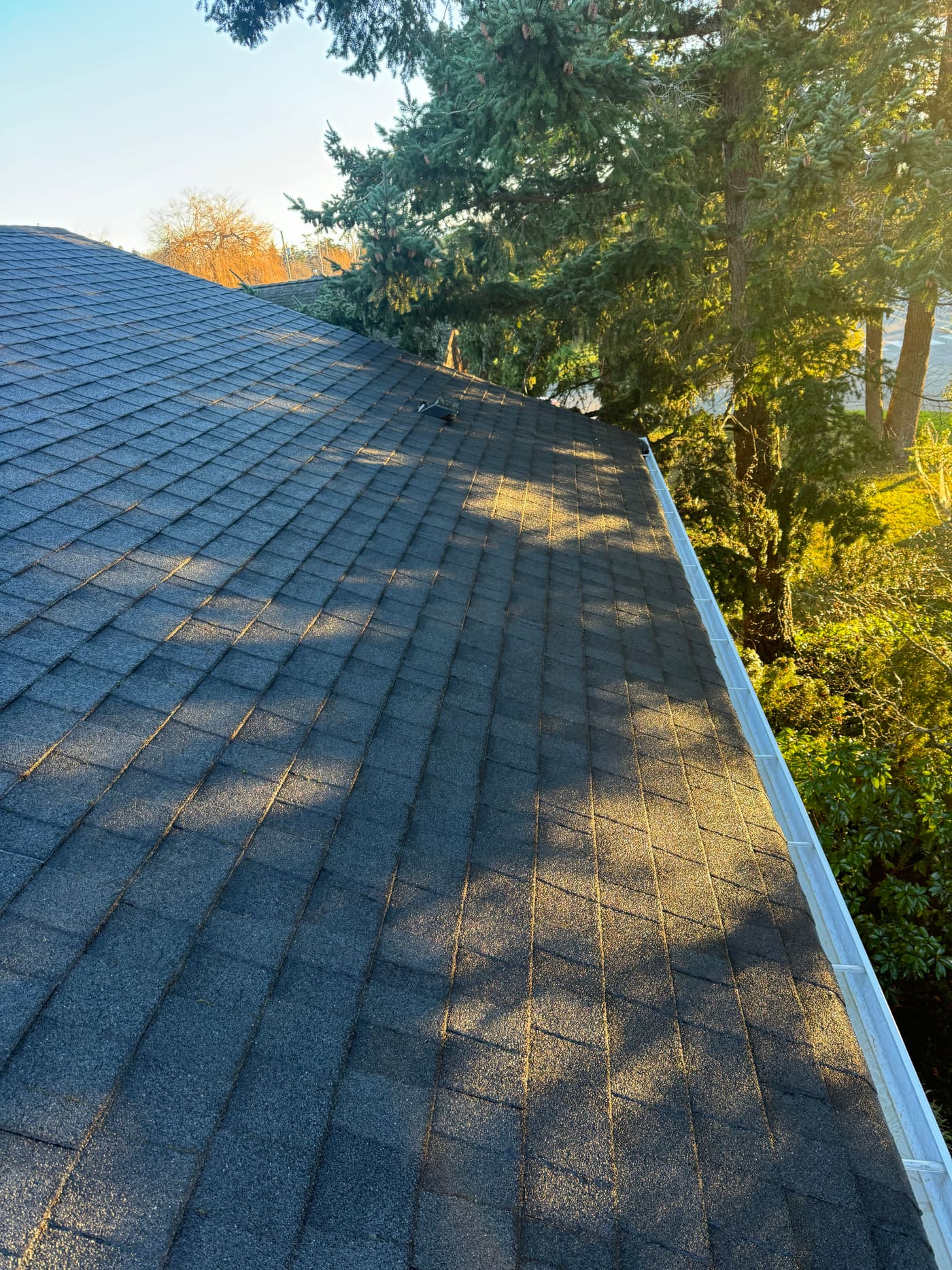 The same roof moss-free after professional soft washing